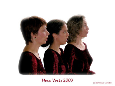 Trio Mora Vocis