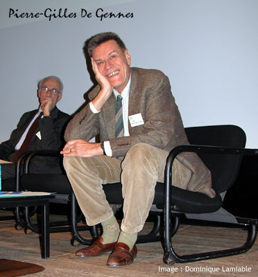 Pierre-Gilles de Gennes, Prix Nobel de Physique